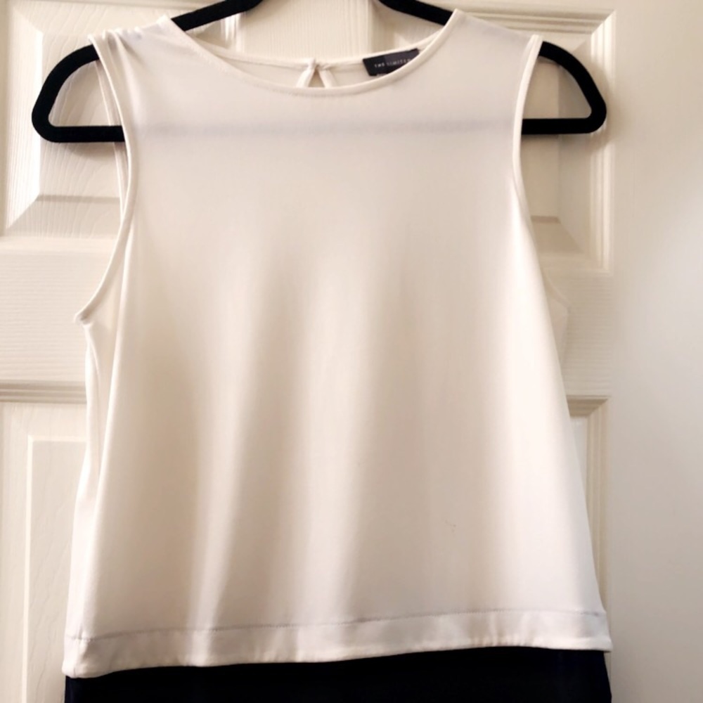 The Limited Dress Shirt